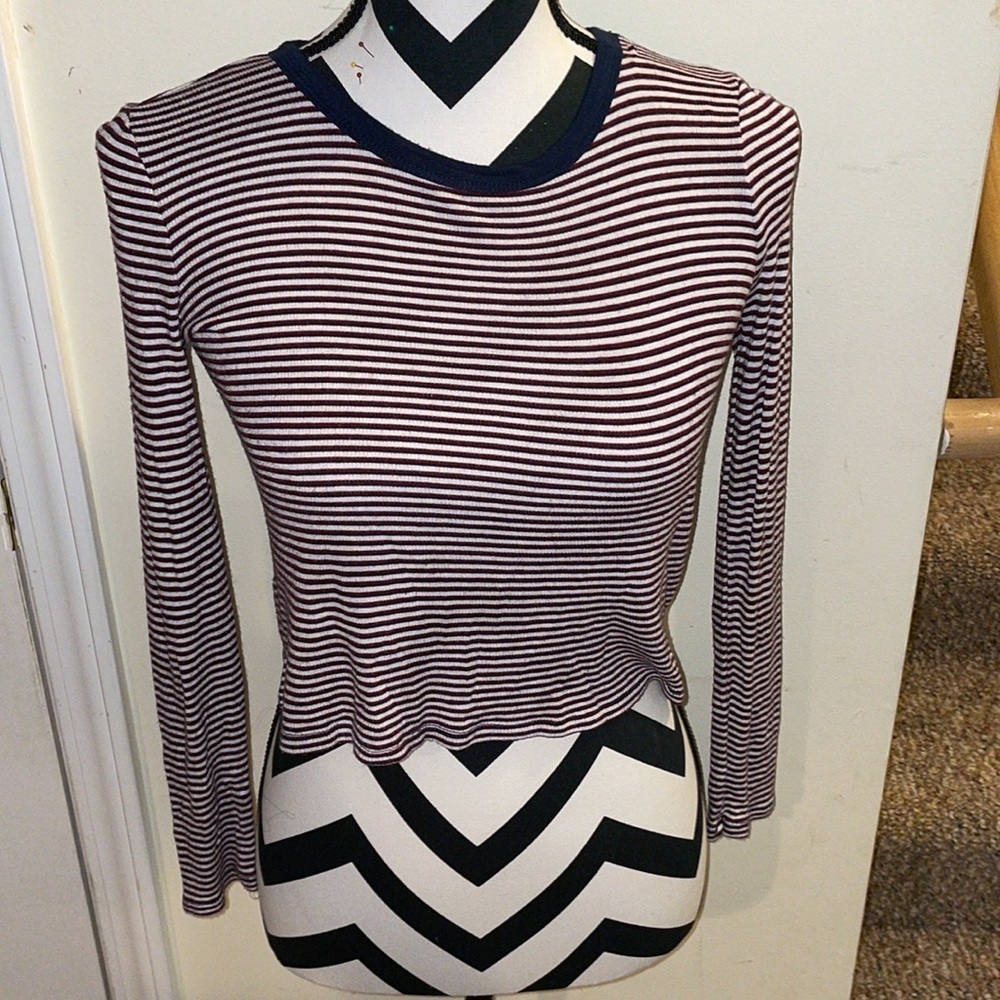 Womens Polly & Esther Crop Top